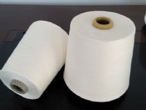 點(diǎn)擊查看詳細(xì)信息<br>標(biāo)題：緊密賽格紡紗 閱讀次數(shù)：6278
