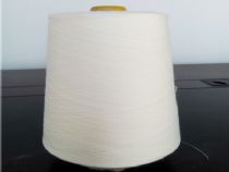 點擊查看詳細信息<br>標題：固體腈綸紗 閱讀次數(shù)：3789