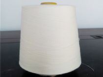 點(diǎn)擊查看詳細(xì)信息<br>標(biāo)題：彩棉紗210 純棉紗 有機(jī)棉紗 再生棉紗欣匯紡織現(xiàn)貨13905365621 閱讀次數(shù)：2309