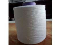 點擊查看詳細信息<br>標題：純滌竹節(jié)紗 閱讀次數(shù)：1755